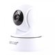 HW0036 Wireless IP Surveillance Camera (720p, 1 MP)